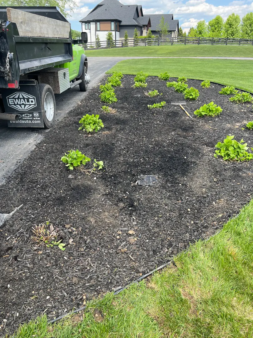 Landscape drainage solutions Waukesha, WI