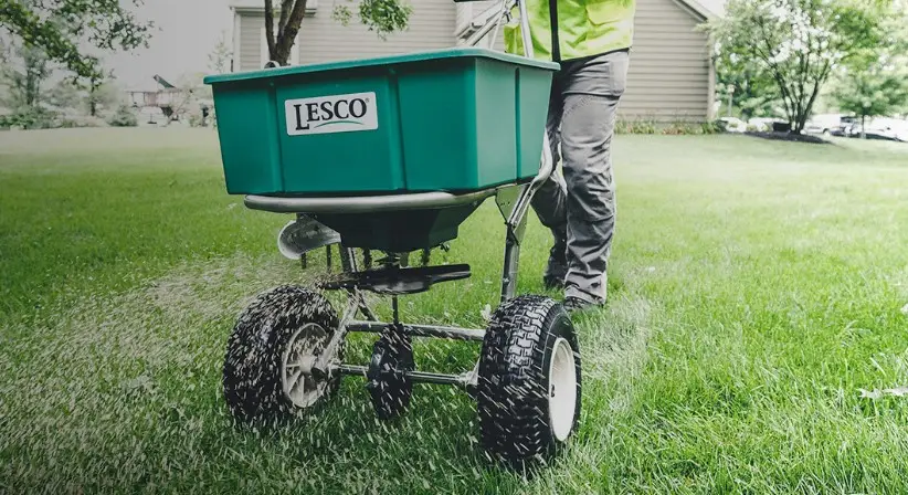 "A professional landscaper in uniform applies green fertilizer to a lush, healthy lawn using a spreader. Another technician sprays a targeted weed control solution on visible weeds. The lawn is vibrant and well-maintained, surrounded by flower beds and shrubs, under a clear sky."