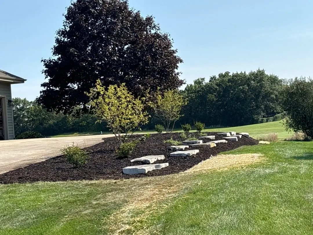 This beautifully crafted landscape features a well-designed mulch bed bordered with elegant stone, creating a clean and natural look. Lush shrubs and trees are thoughtfully arranged to provide a harmonious blend of greenery and structure, enhancing the visual appeal of the space. Located in Elm Grove, WI, this design not only adds aesthetic charm but also promotes healthy plant growth and easy maintenance. The combination of mulch and stone provides both functionality and beauty, making this landscape a standout feature in any garden.